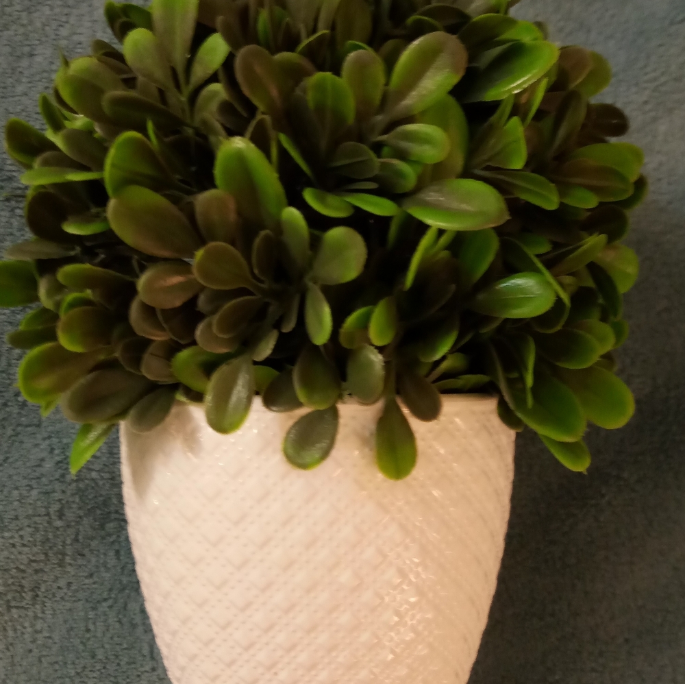 Succulent artificial plant